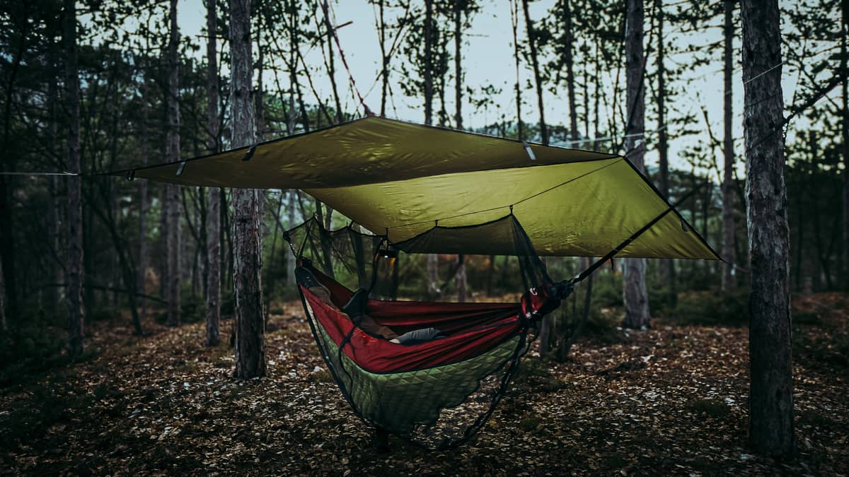 Engineering Persistence